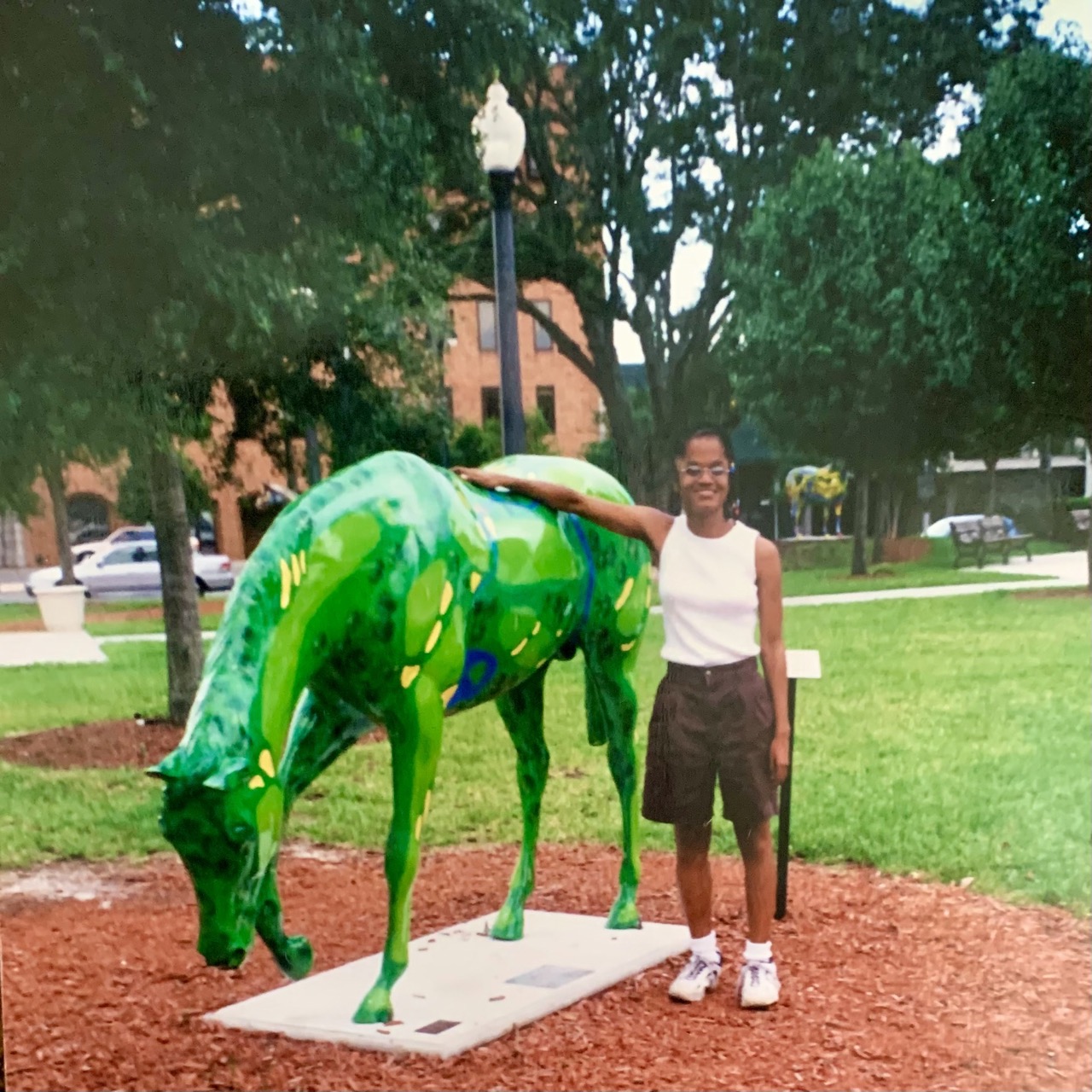 MY HORSE TOWN INSPIRATION