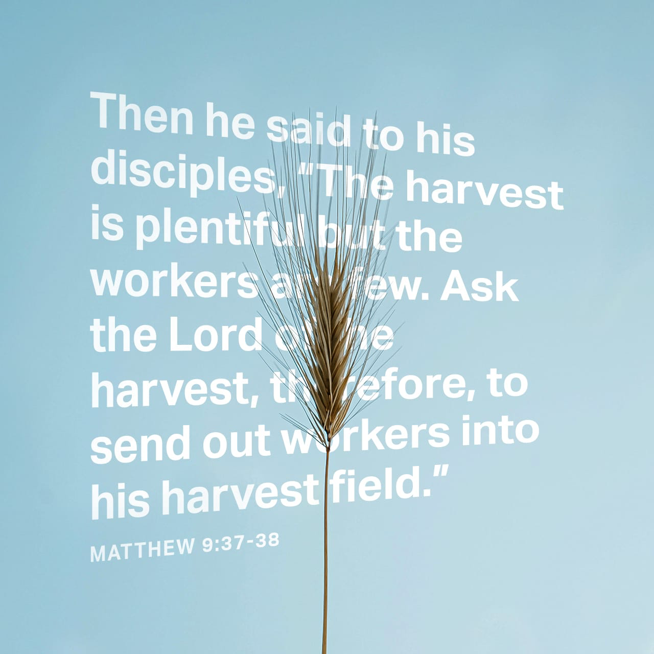 LIVING ON PURPOSE