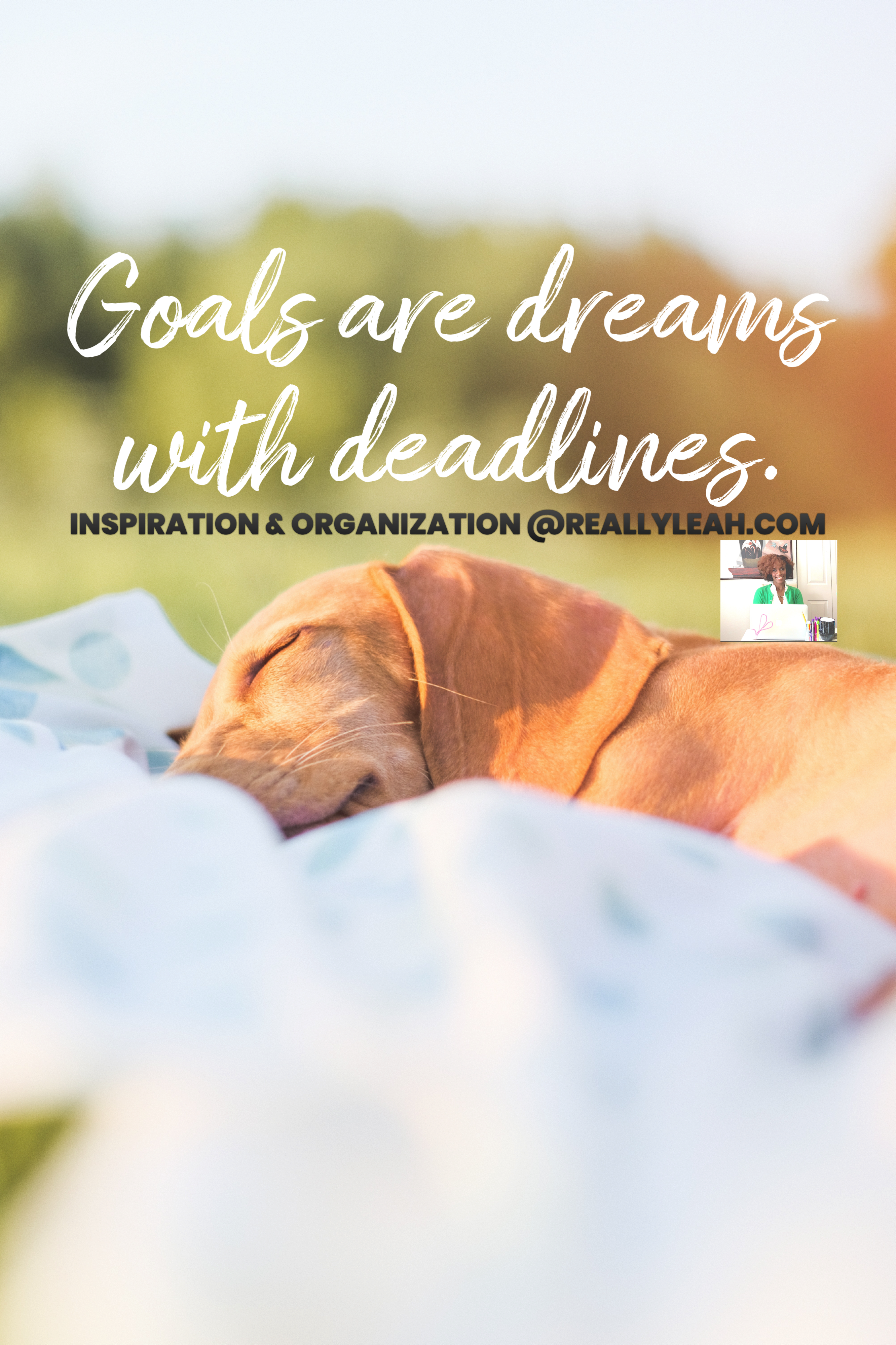 Goals are dreams with deadlines.