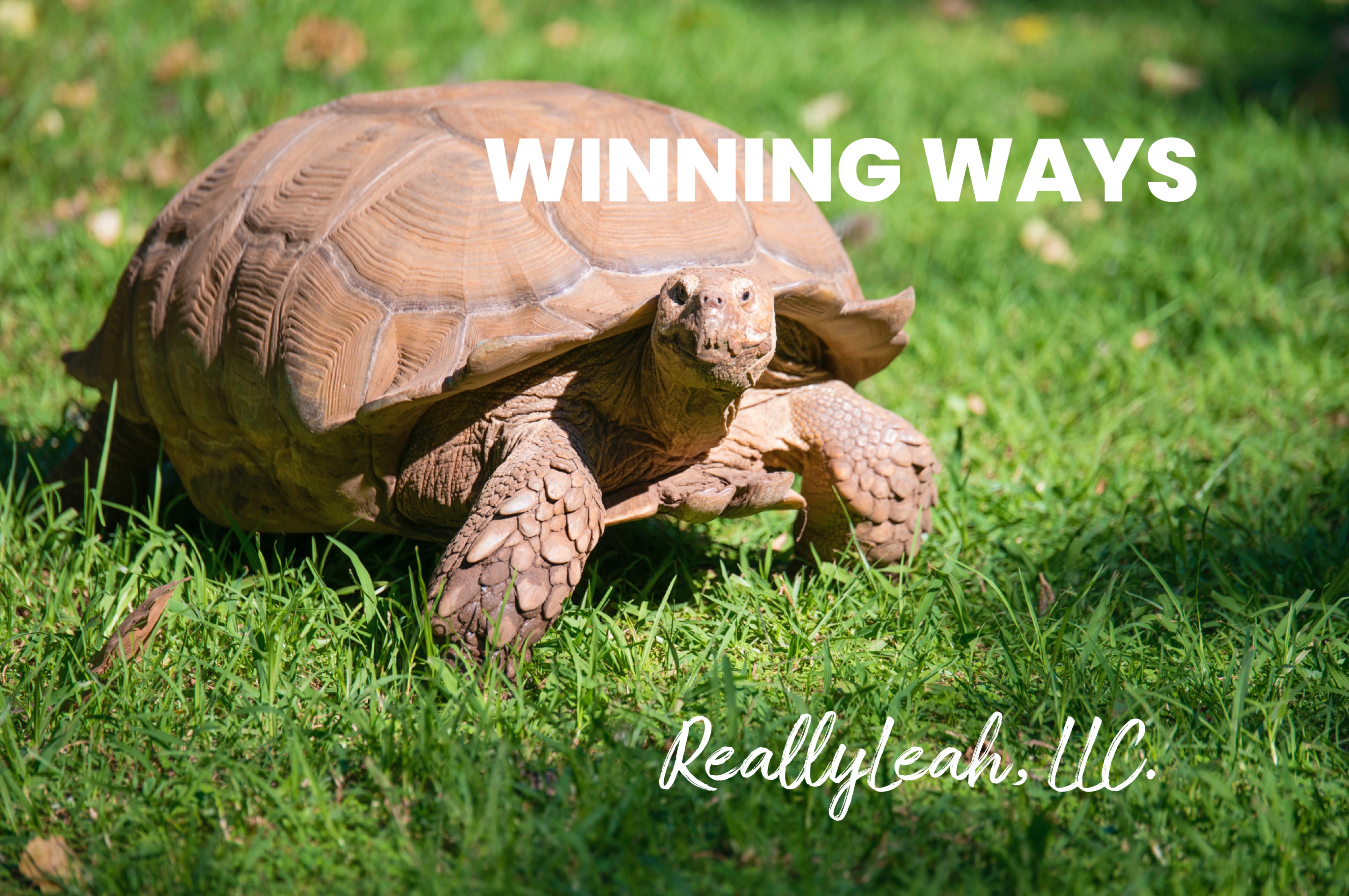 WINNING WAYS