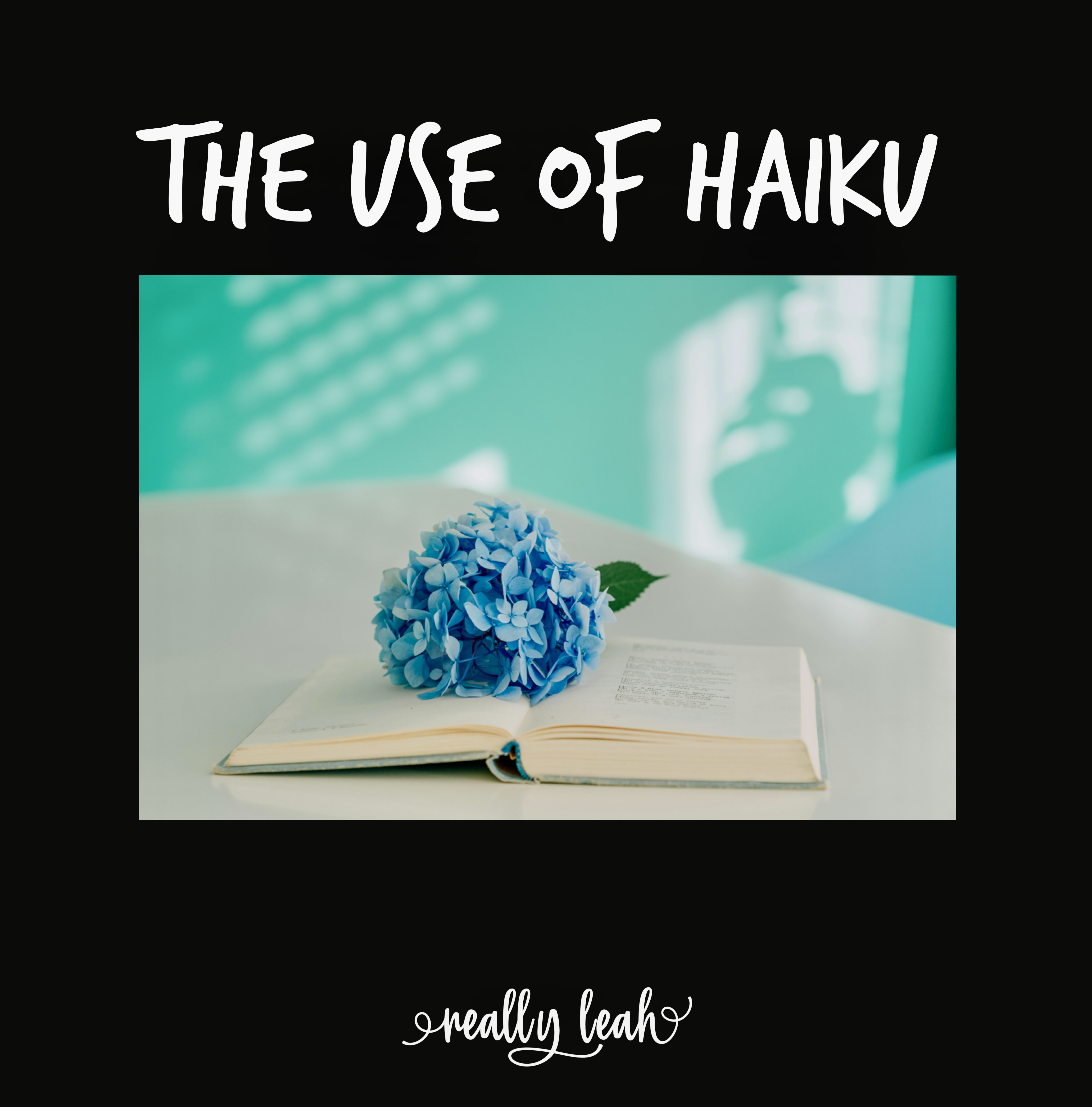 Dear Creative Use of Haiku, #12. 2025